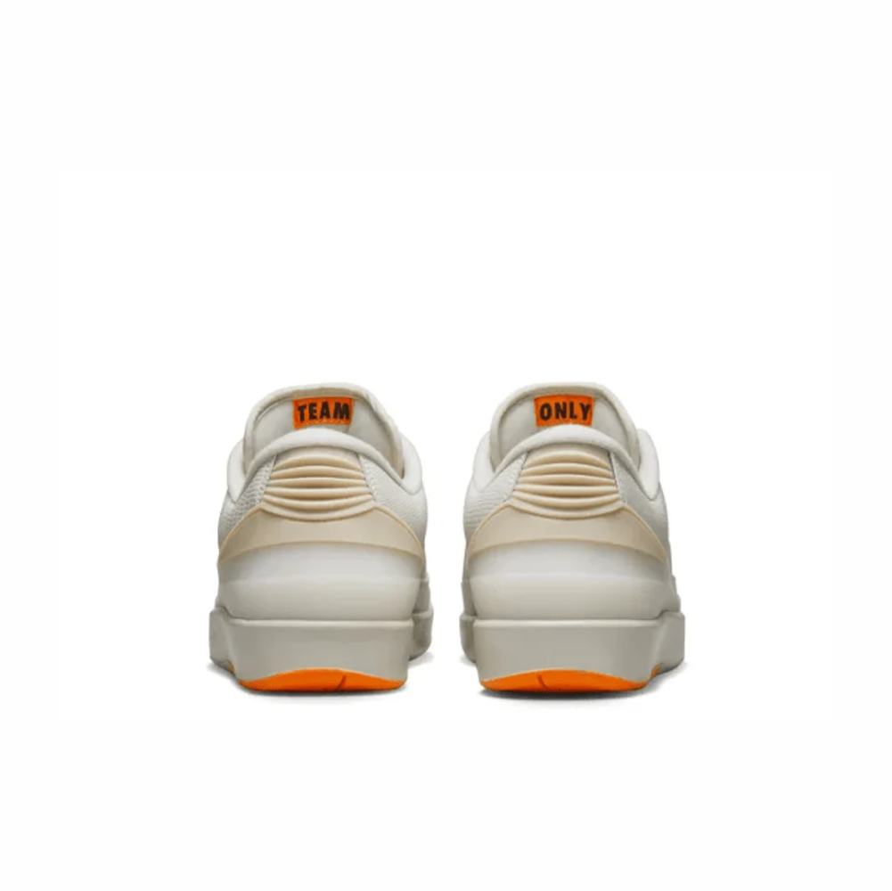 Nike Air Jordan 2 x Shelflife